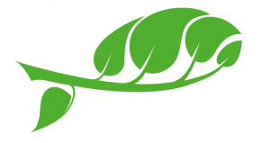 Schulstiftung