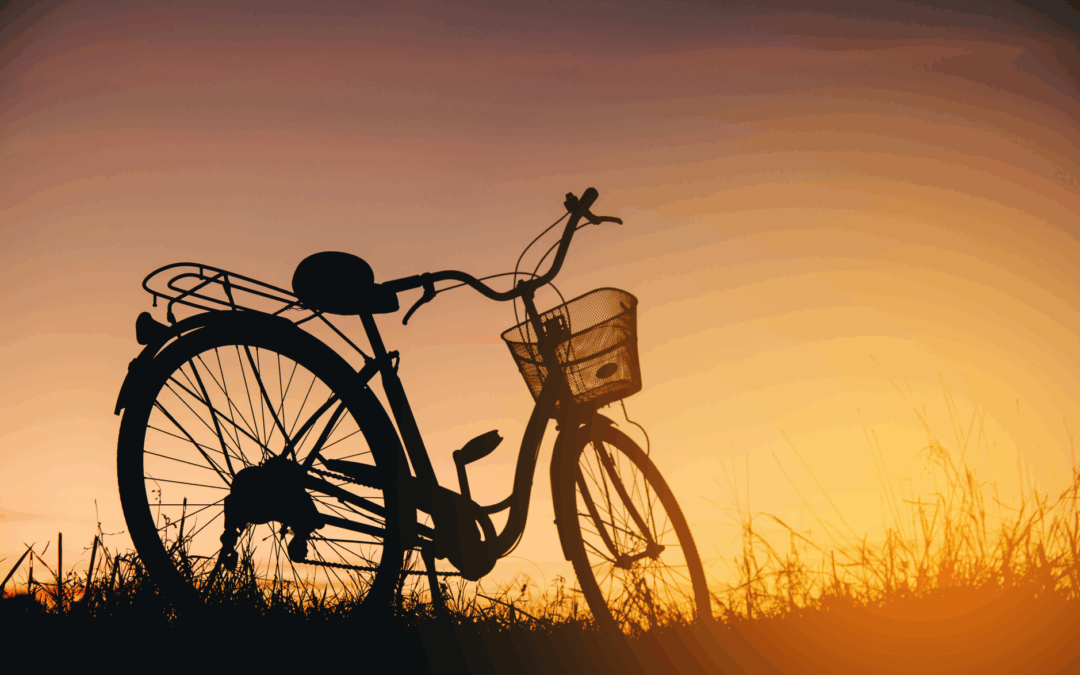 Erfolgreiche Spendenaktion – gemeinsam für Umwelt und Natur