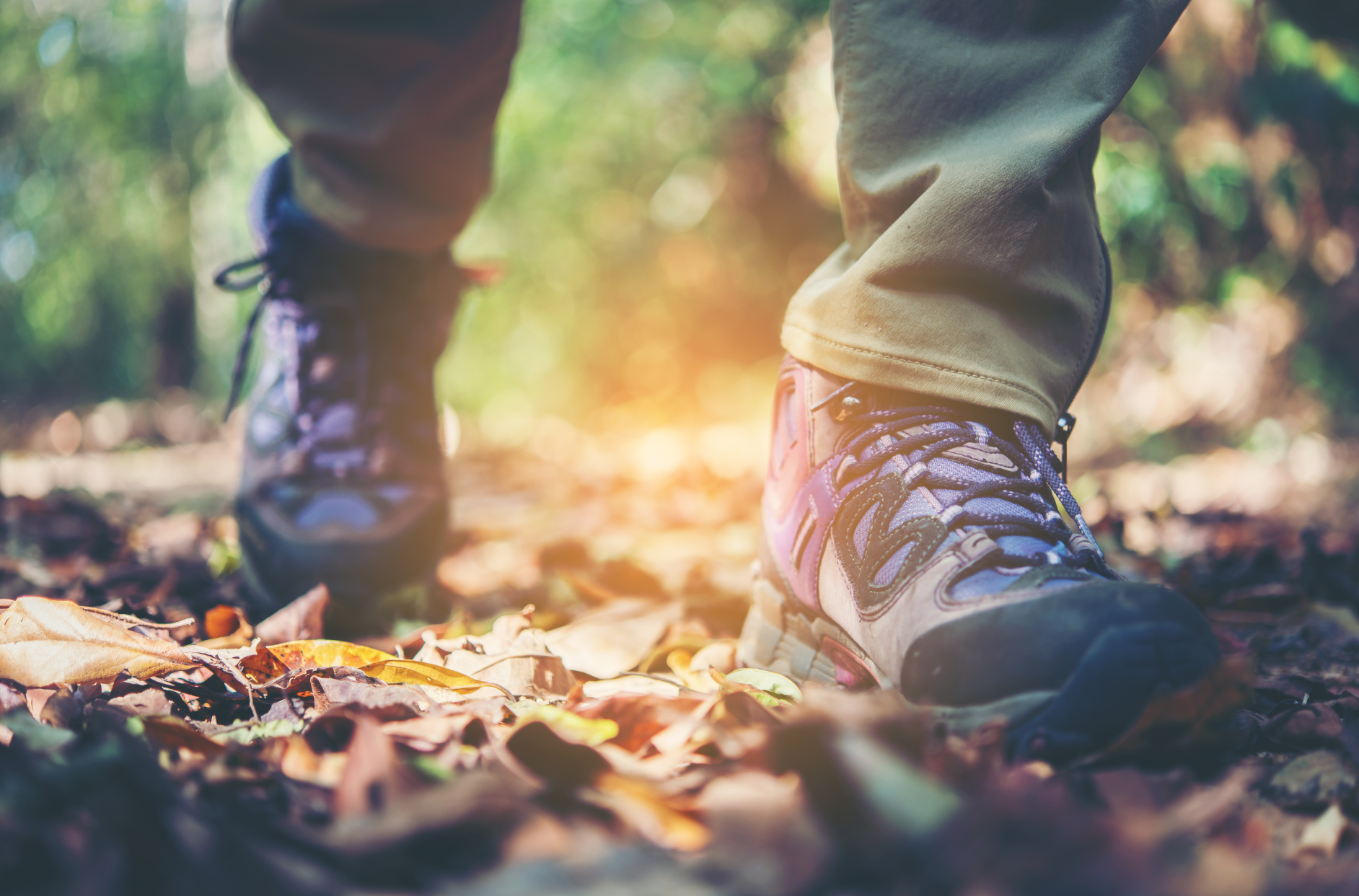Großer Erfolg: 7.500 Euro Fördergeld für drei evangelische Schulen